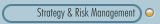 Strategy & Risk Management